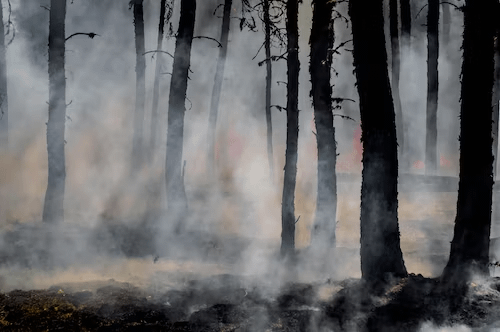 Community Awareness for Wildfire Preparedness